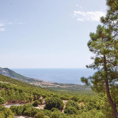 Casa Camilla 2 Διαμέρισμα Cala Gonone Εξωτερικό φωτογραφία